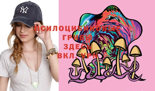 мдпв Алексеевка